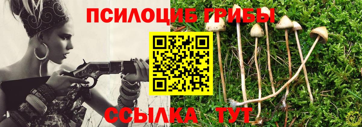 Псилоцибиновые грибы Psilocybine cubensis Сердобск