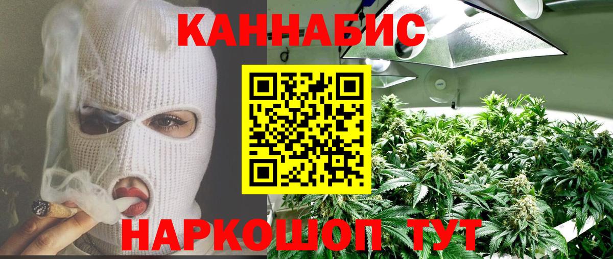 Шишки марихуана тримм  Бошки Шишки сатива  Вход с VPN  Марихуана индика  Сердобск 